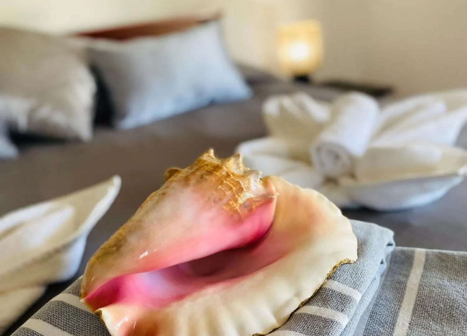 Casa Blanca - White House Apartment Cabarete